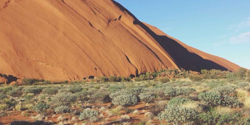 NCABGS框架解析：战略规划与运营优化的双轮驱动，赋能企业持续增长