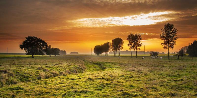 NCABGS视角下的客户体验管理咨询：以旅程地图驱动领导力发展与忠诚度跃迁