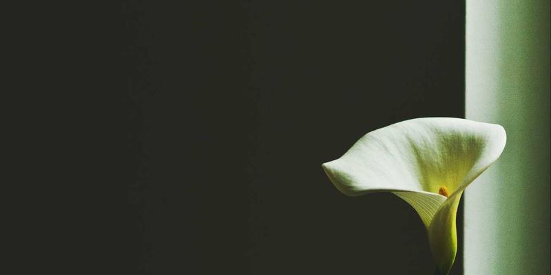 从成本中心到价值中心：财务共享服务中心转型中的领导力发展与NCABGS咨询框架