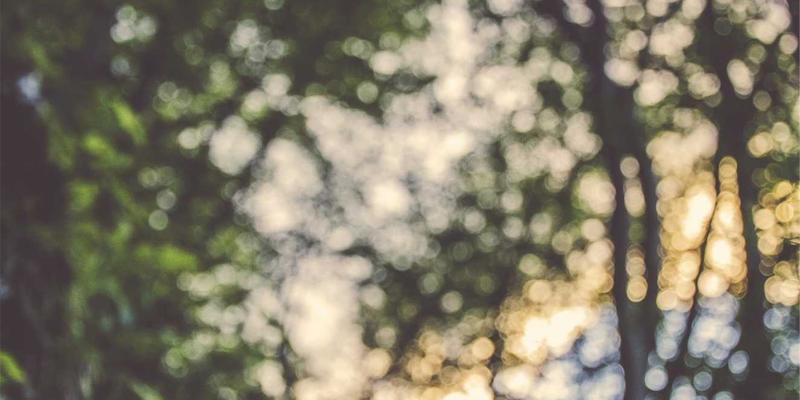 从战略规划到领导力发展：客户体验管理咨询如何重塑企业培训与客户旅程