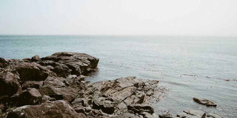 企业培训、管理咨询与领导力发展:构建可持续竞争力的三位一体战略