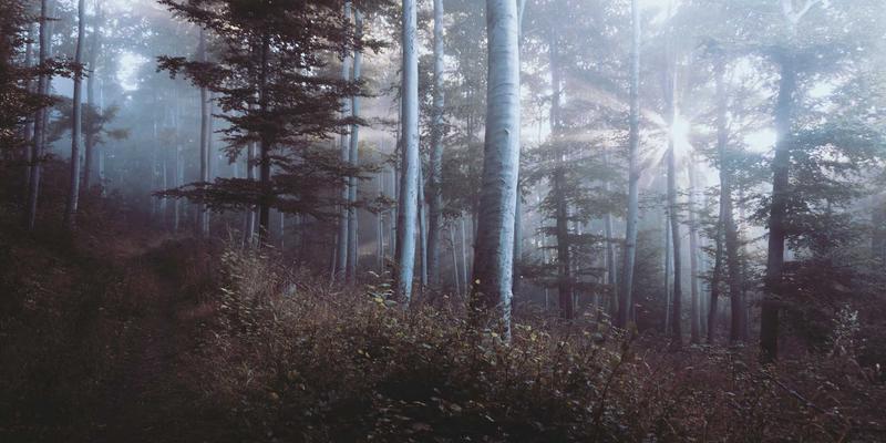 企业管理咨询3.0时代：以领导力发展与运营优化驱动NCABGS战略落地