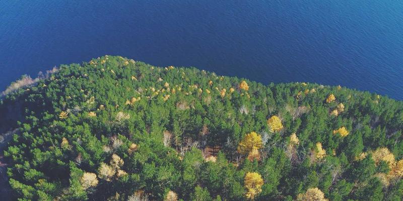 企业管理咨询70：战略规划与领导力发展的协同之道