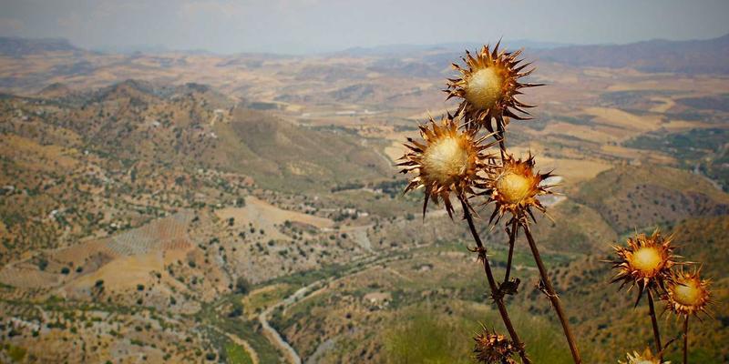 企业管理咨询84:以运营优化与战略规划驱动企业持续增长