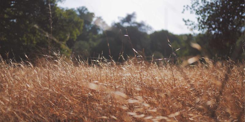 企业管理咨询如何赋能组织?深度解析战略规划与领导力发展的协同价值