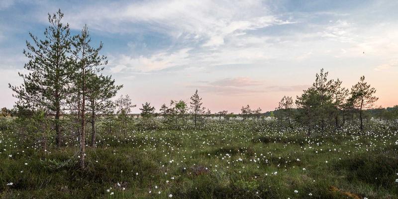 创新管理体系咨询：NCABGS框架下的战略规划与系统化创新流程设计