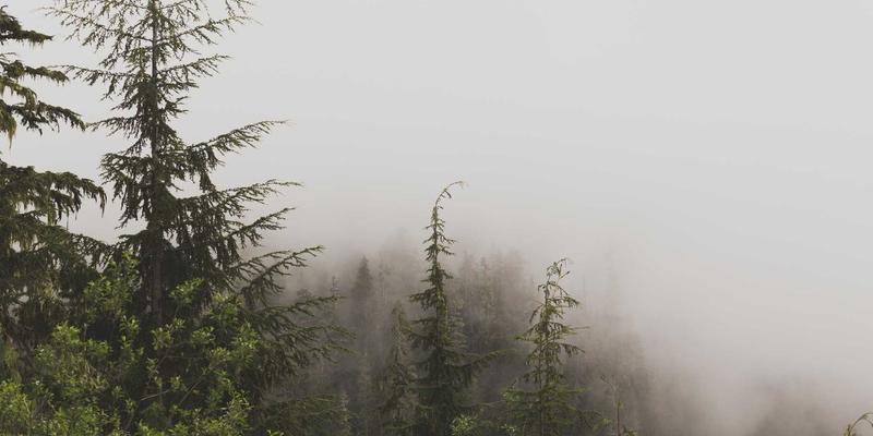 家族企业治理与传承之道：运用NCABGS模型实现运营优化与平稳交接