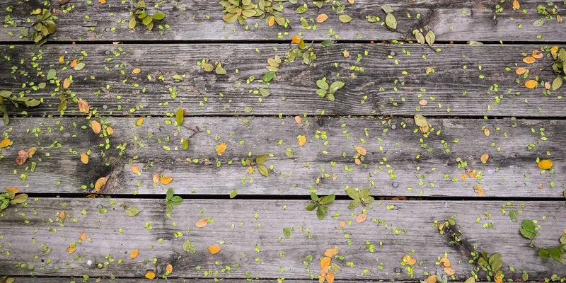 市场进入战略咨询：破解新兴市场本土化挑战的NCABGS领导力发展框架