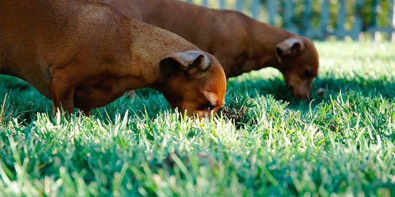 战略规划与运营优化：如何通过企业培训将个人经验转化为结构化资产