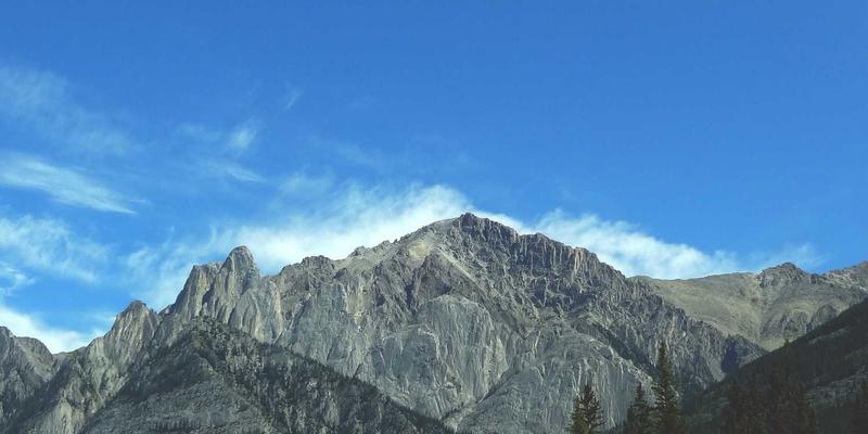 战略规划与领导力发展：市场营销咨询如何赋能企业品牌定位与市场扩张