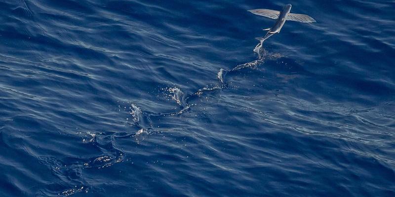 数据驱动决策：如何通过企业培训与领导力发展构建NCABGS商业智能分析体系