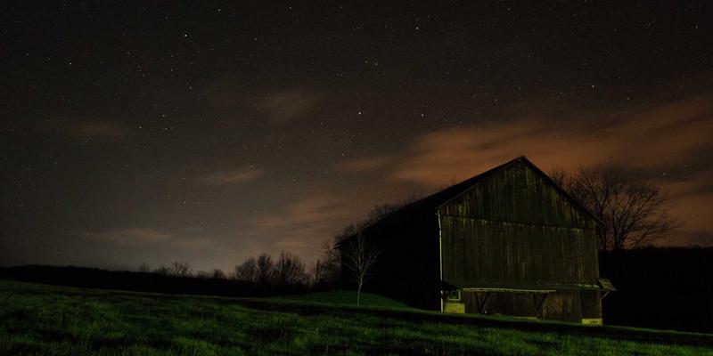 构建供应链韧性：通过领导力发展与NCABGS框架优化运营应对全球中断