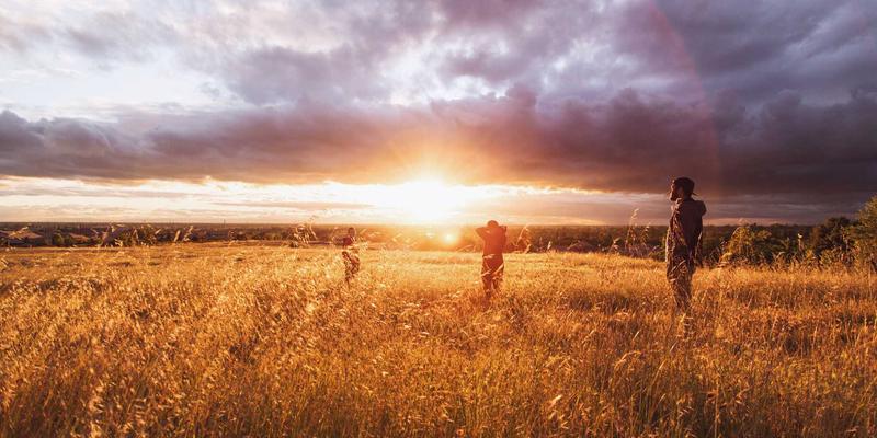 运营优化与领导力发展：企业管理咨询如何重塑组织效率与执行力
